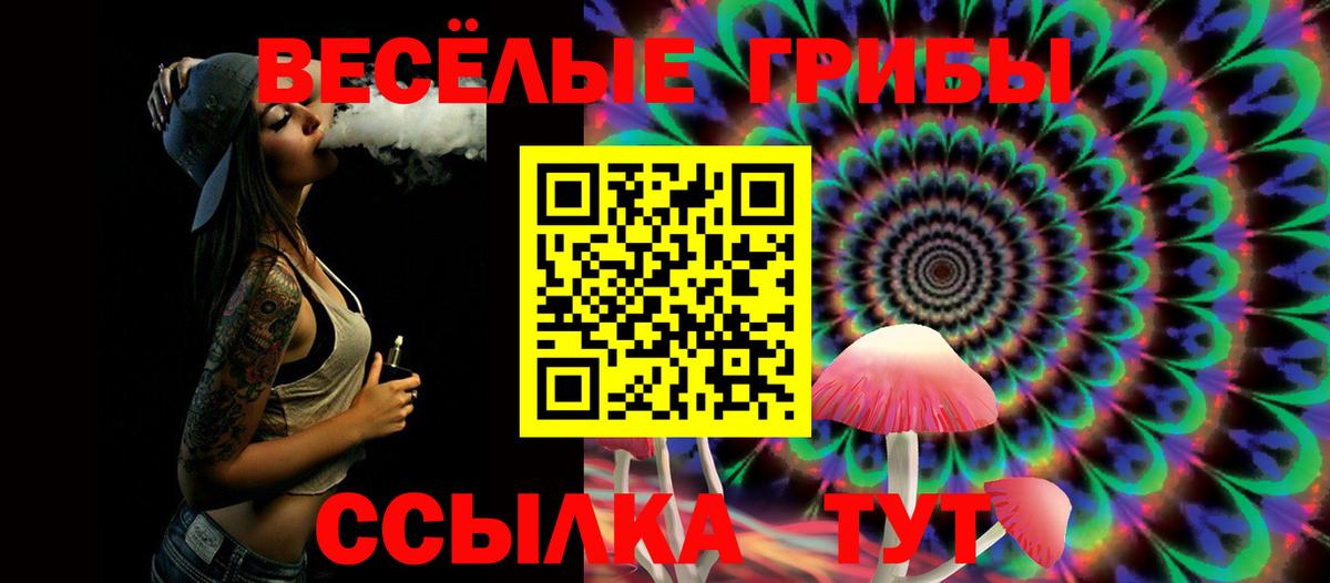 Галлюциногенные грибы Cubensis Александров
